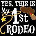 Yes, This is my 1st Rodeo- cowboy hat with red band, lasso
